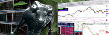 TraderHal's Avatar