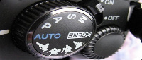 NFRs2000NYC's Avatar