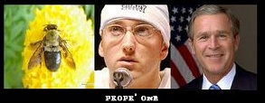 propr`one's Avatar