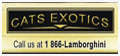 Cats exotics